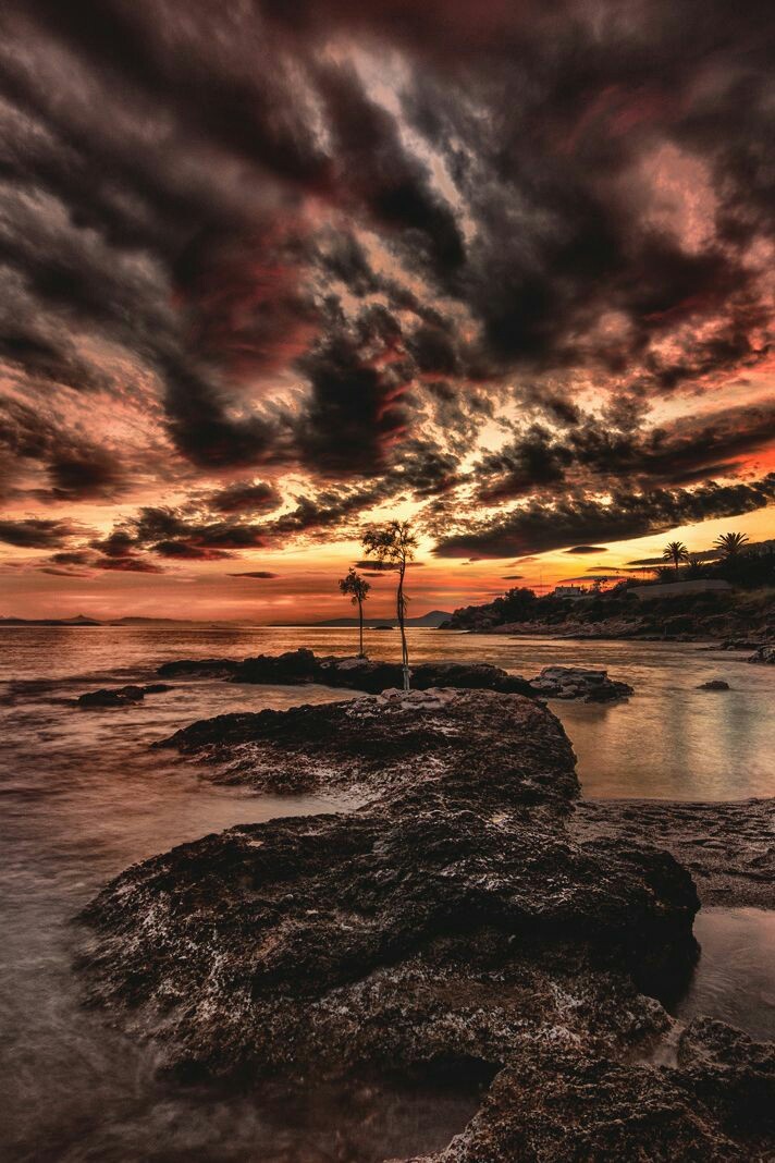 orchidaaorchid:  Bloody sunset by Tom Goliotos