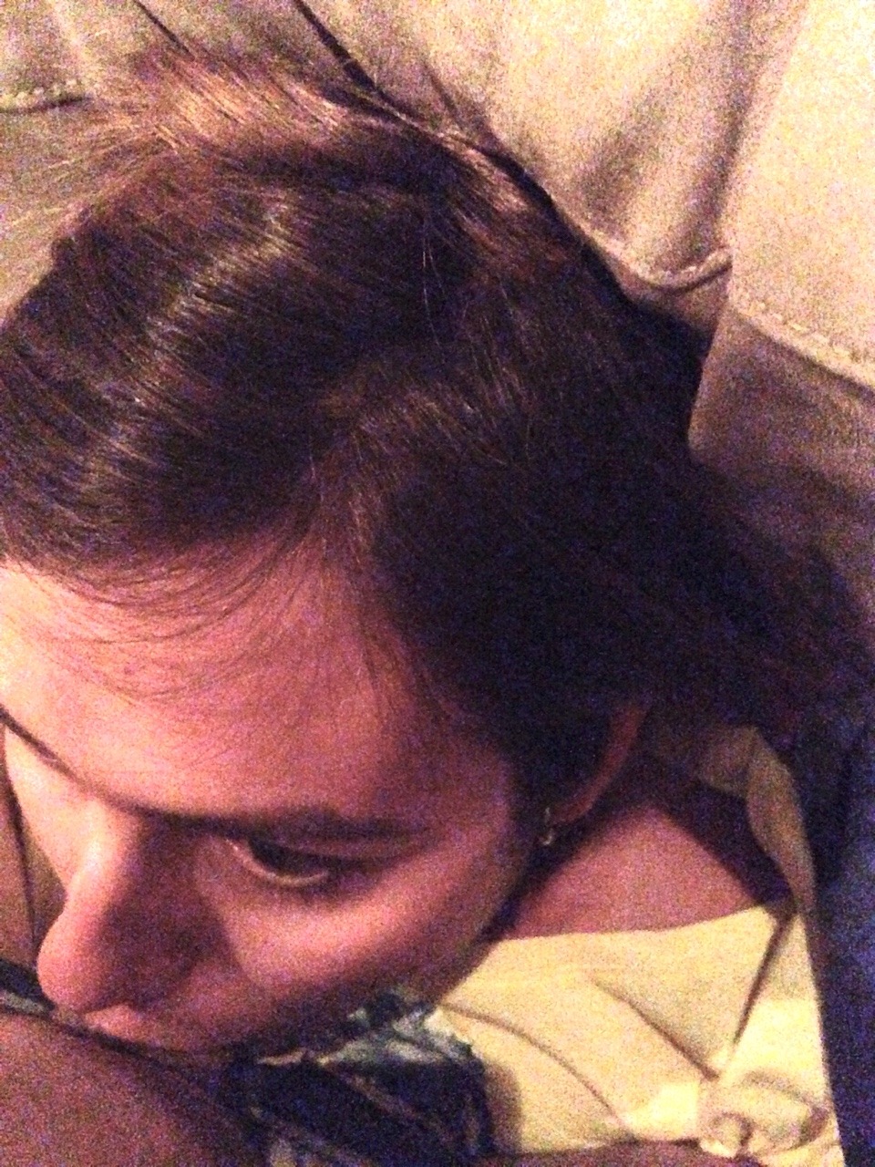 nekotrap:  sophieladder:  skykitteh:  sophieladder:  just hanging out with afternoond-lite