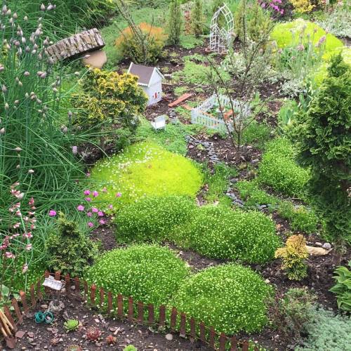 And they had the most adorable fairy garden! #fairygarden #fairies #nofilter (at Boerner Botanical G