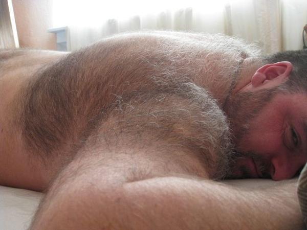 bearso:  More bears?,Follow me! ↘BEARSO! 