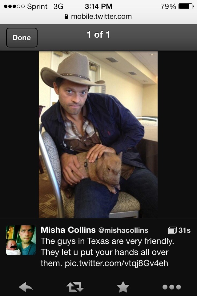 yall-mothafuckas-need-misha:  lady-annabeth-winchester:  You are a ridiculous, amazing