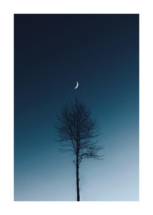 (via first real minimalistic shot : photocritique)