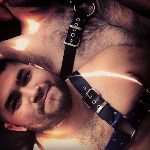 dorilosari:  Leather and yaaaassss #gay #gayboy #gaycute #gaybeard #gaybear #gaycub #gayhairy #gaygram #instagay #gaysofinstagram #beard #beards #beardedgay #hairy #hairychest #hairymen #hairycub #hairybear #cub #cubs #bear #bears #gonzo #gaychub #chub