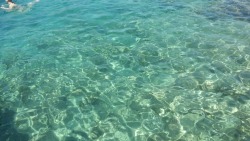 #water #beautiful #summer #sea #love #want