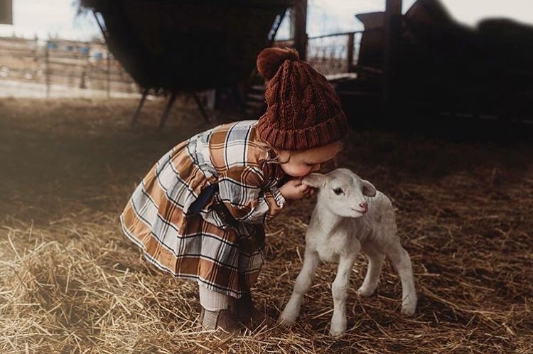 oldfarmhouse: https://www.instagram.com/pixelkids/ 