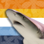 reefsharkblacktip