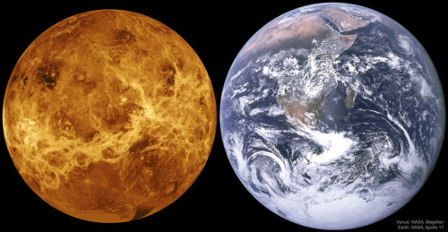 Venus Unveiled : What does Venus look like beneath its thick clouds? These clouds keep the planet