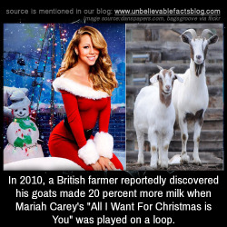 unbelievable-facts:  In 2010, a British farmer