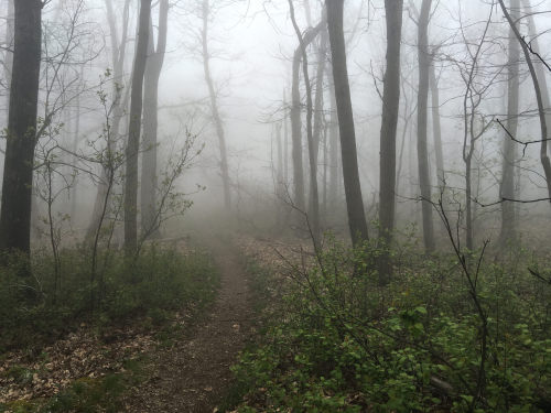 Tuscarora Trail - Shenandoah National Park by Christopher Berry