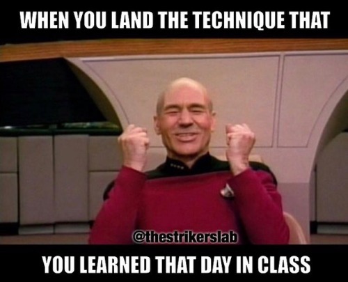 The only way to perfect a technique is to try. #meme #technique #mma #martialarts #mixesmartialarts 