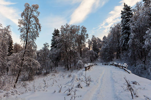 thebeautyofrussia:Garden in the Homesteads of Serednikovo, Moscow Oblast, Russia by “Russos&rd