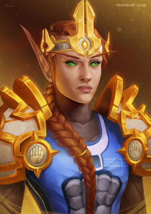 Paladin by Naariel Illustrations