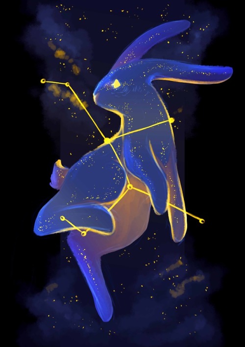 25. Lepus