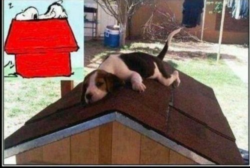 loloftheday:  He’s real!