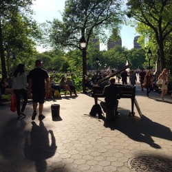 Gorgeous day!

Washington Square Park #nyc