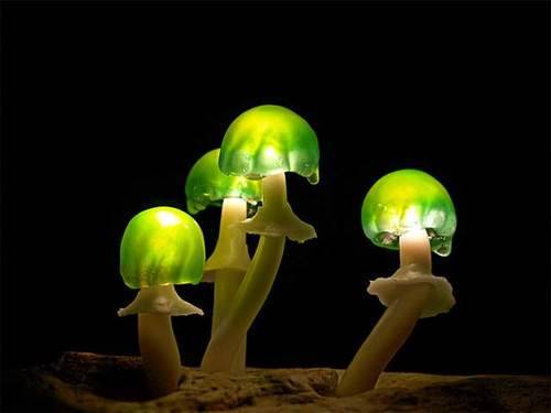 asylum-art:   Creative LED Lights Mimic Mushrooms in Nature by Yukio Takano A unique and magic way to brighten up your house / office / room (bathroom?) That’s the right atmosphere! For these LED Mushroom Lights we thank the Japanese designer Yukio