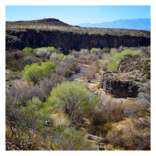 fatchance:The Gila River cutting through the canyon, Gila Box Riparian National Conservation Ar