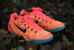 x-dopeshit:  gtfan712:  Nike Kobe 9 - Bright Mango  TOO FUCKING FRESH 🔥🔥🔥