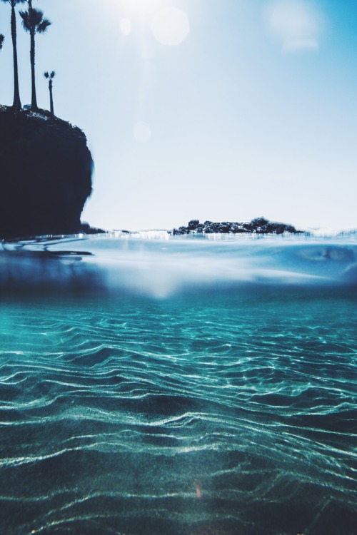 http://castawaylabel.tumblr.com/post/118352192188