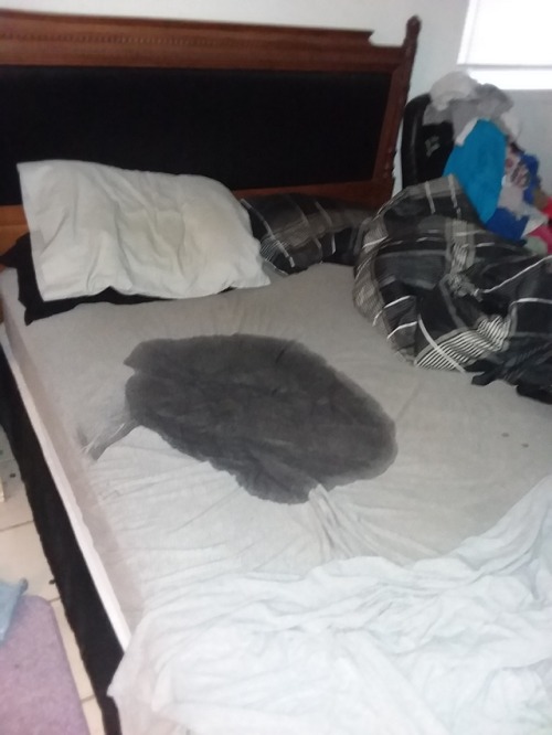 twolitemike:I did I wet the bed again me too