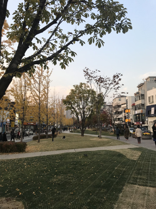 To me, autumn in Seoul is glorious, golden and smells of cinnamon and chestnuts.One of my favorite p