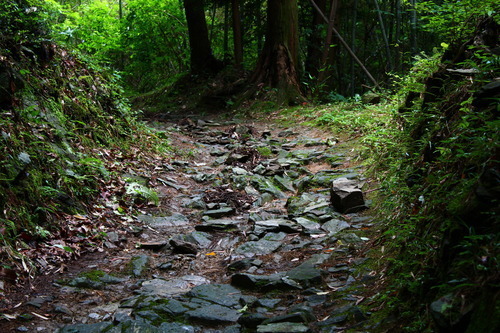 高野山町石道