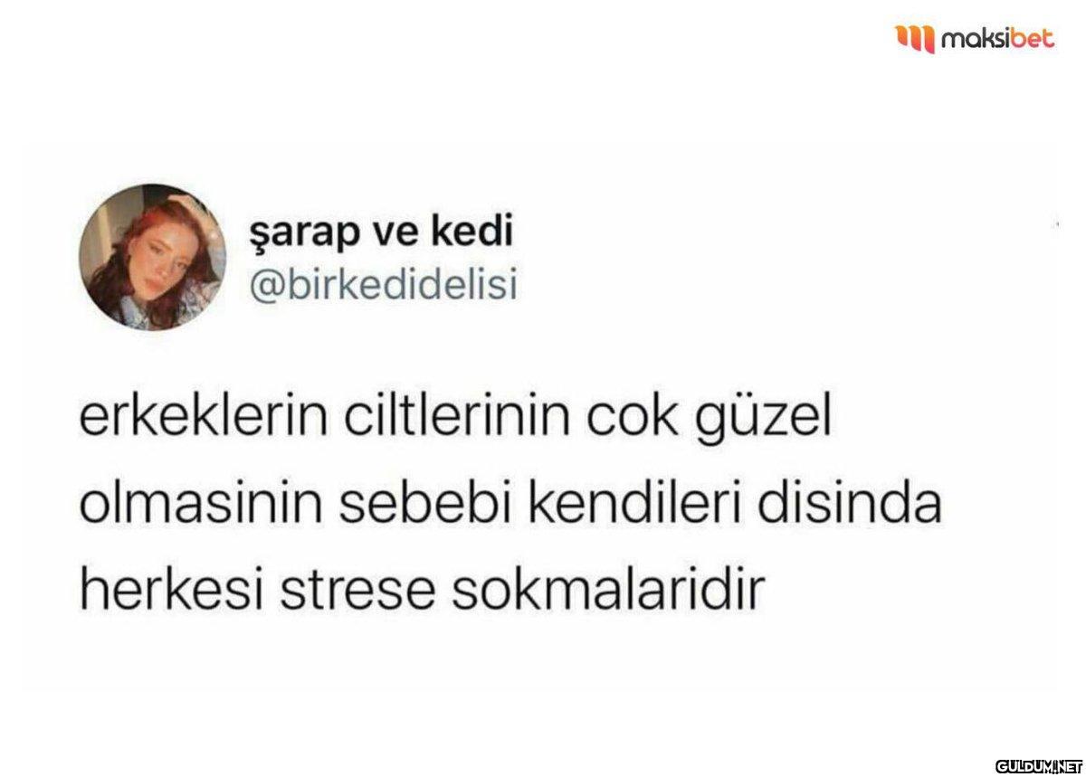 şarap ve kedi...