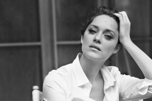 suicideblonde:  Marion Cotillard photographed porn pictures