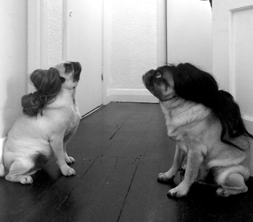 To commemorate the life of Marina Abramopug, we’re featuring a retrospective of her work, including 