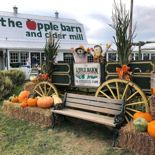 southcarolinaboy:The Apple Barn - Visit Sevierville 