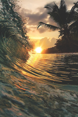 Visualechoess:palm Beach - By: Vitaliy Sokol