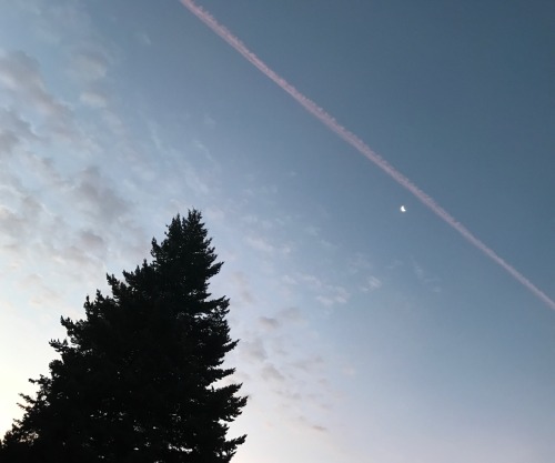 milkycelestials: simple 
