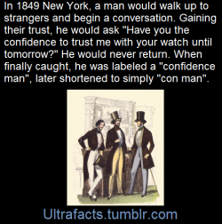 ultrafacts:    The perpetrator of a confidence