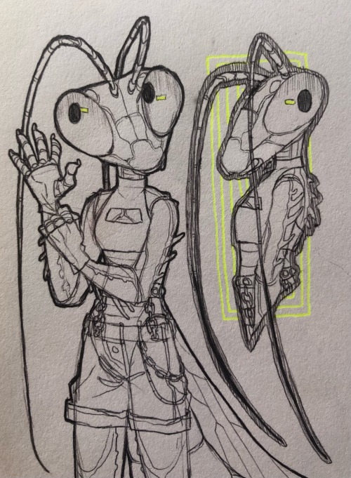 Various Things And Specimens From My Sketchbook