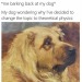dankmemeuniversity: