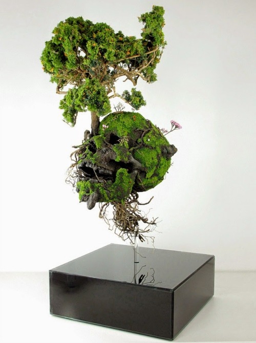 XXX culturenlifestyle:  Stunning Plant Sculptures photo