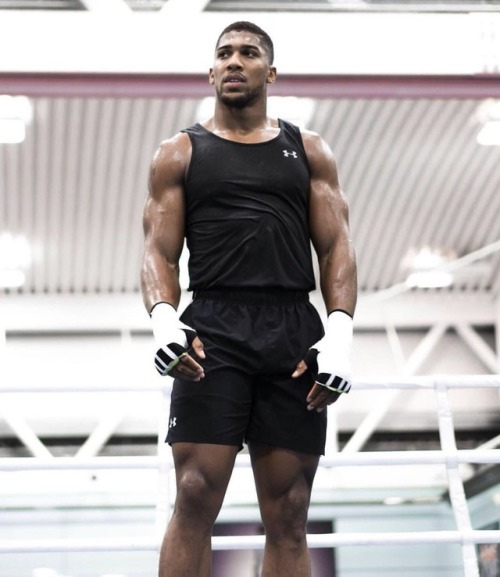 xemsays: xemsays: xemsays: xemsays: xemsays: xemsays: xemsays: xemsays: xemsays: ANTHONY JOSHUA is a