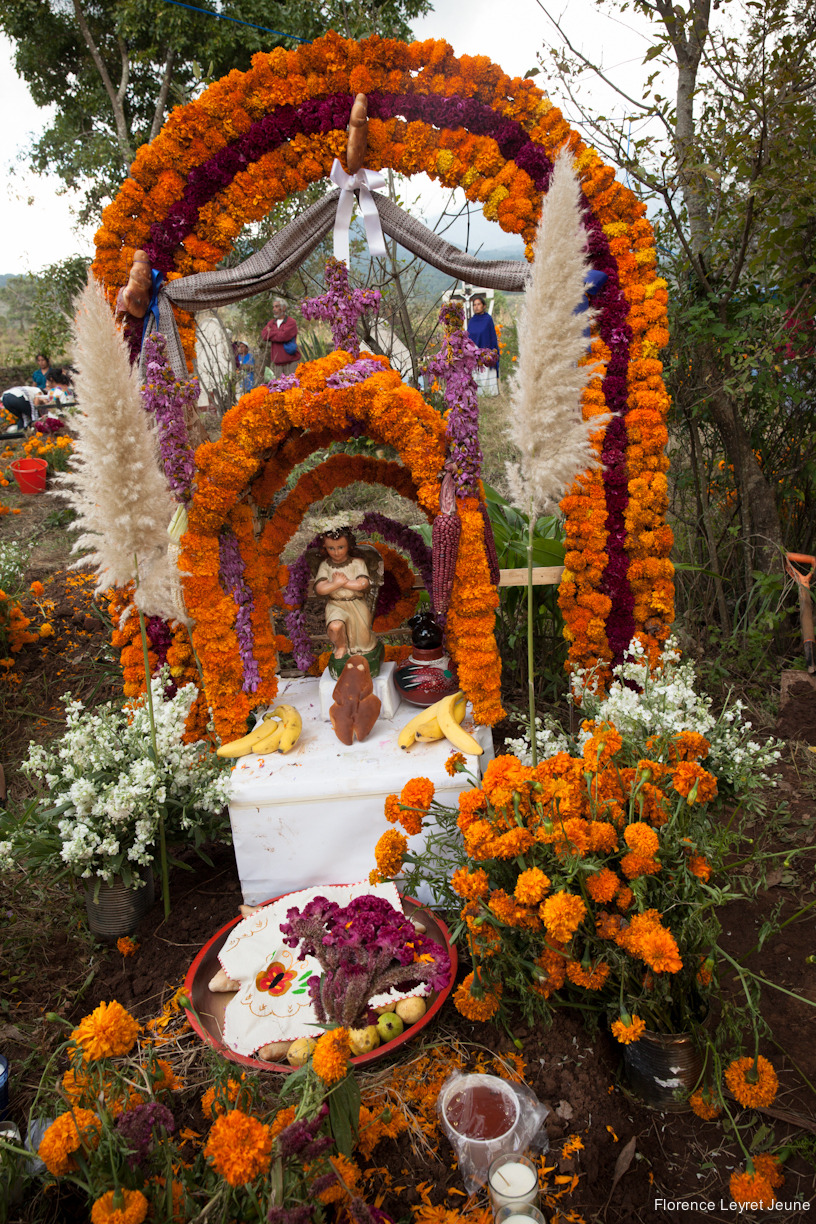 didyouseethewind:  On the 2nd of November, the altars are dismantled, then (almost)
