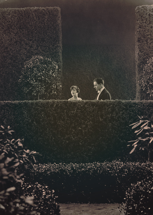 deforest:  Ronald Colman and May McAvoy in Ernst Lubitsch’s Lady Windermere’s Fan (1925)