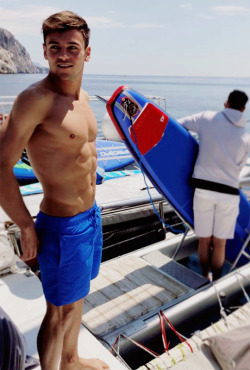 everything tom daley