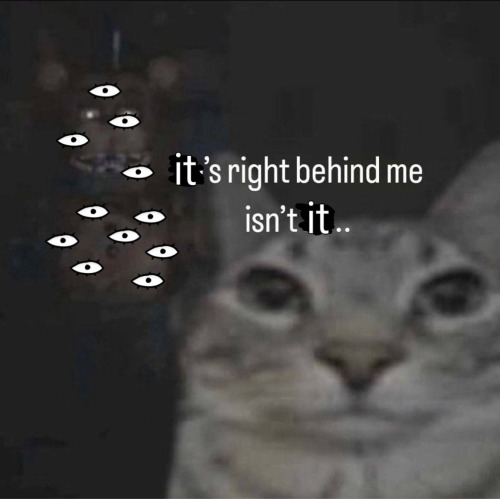 POV: Samama Khalid