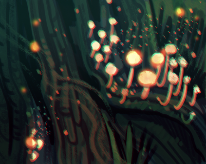 Today's Warm Up: Spores What Happens When An Old Forest Dies? Its Guardian, More Often Than Not One Of