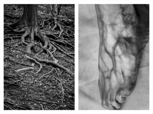 similarities between the human body and nature