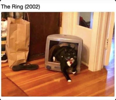 memewhore: