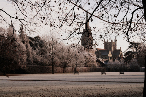 unfallingautumnleaves: Cambridge by schwurlie