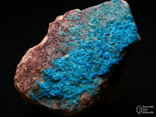 emeraldcityminerals:Crust of rare blue papagoite (CaCu[H3AlSi2O9]) on quartz monzonite. From the typ