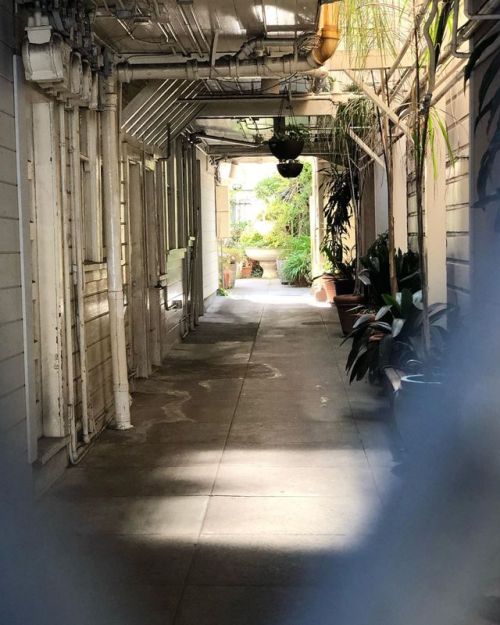 #behindthescenes #sanfrancisco (at Mission District, San Francisco) Https://www.instagram.com/p/B04UwhPAc4k/?igshid=wbde4qdtthi3