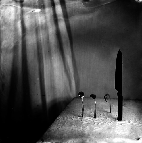 gacougnol:  David Frederick AveryFamily 2012