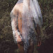 homobuenosaires:Brian Vu