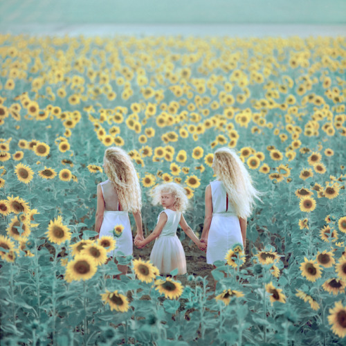 *** by oprisco